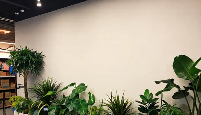 企业名录展示中的理解误区与正确展示方式