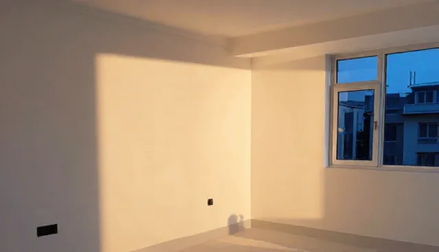 数据管理在展示产品使用中的关键作用与维护策略